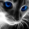 tomcat11708